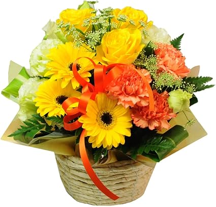 Amazon 花工房フラワーギフト ビタミンカラーのフラワーアレンジメント アリスイエロー Mサイズ フラワーアレンジメント オンライン通販 Amazon 花工房フラワーギフト ビタミンカラーのフラワーアレンジメント アリスイエロー Mサイズ フラワーアレンジメント オンライン通販