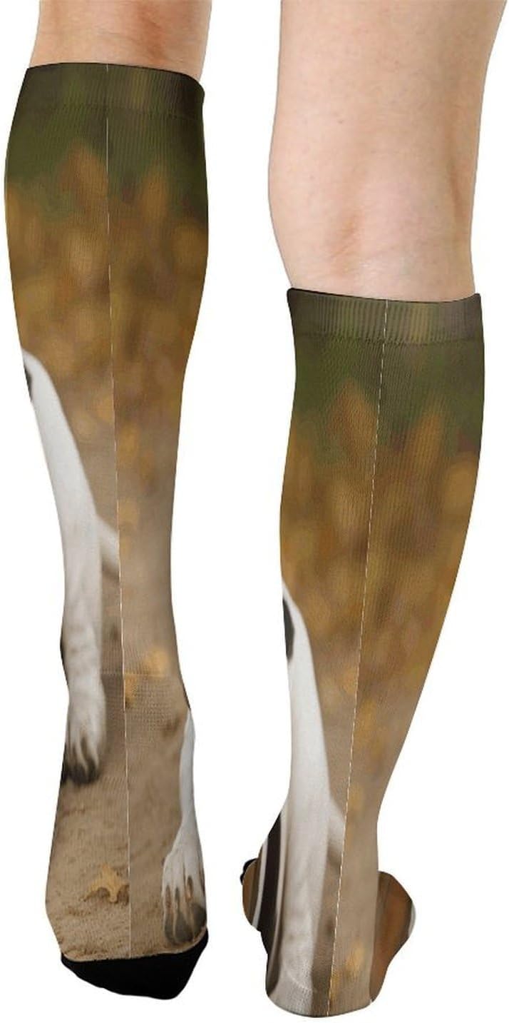 Basset Hound Compression Sock Circulation Support Socks Lightweight Knee High Tube Sock Over-The-Calf Sock for Adult
