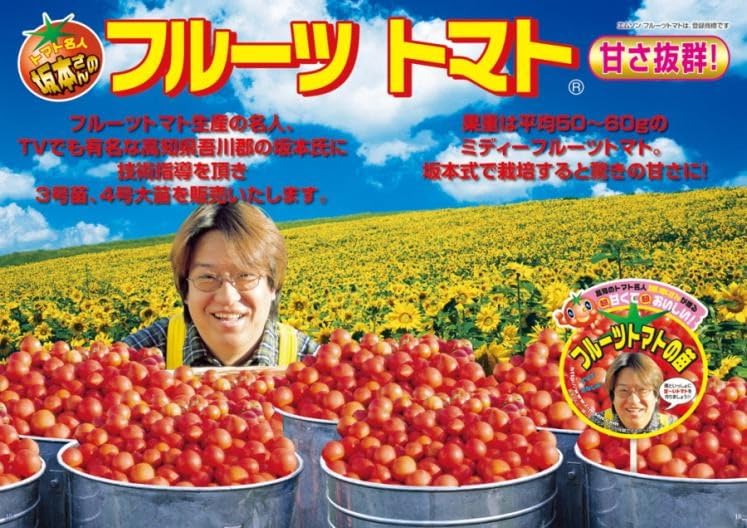 Amazon.co.jp: エムソン企画のトマト苗「坂本さんのフルーツトマト 4本