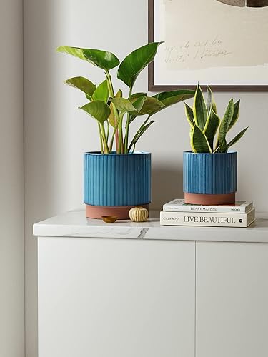 Miniatura 24 de LE TAUCI Macetas de cerámica para plantas, macetas de 8 + 6.7 + 5.5 pulgadas para interiores, maceta con agujeros de drenaje, macetas cilíndricas