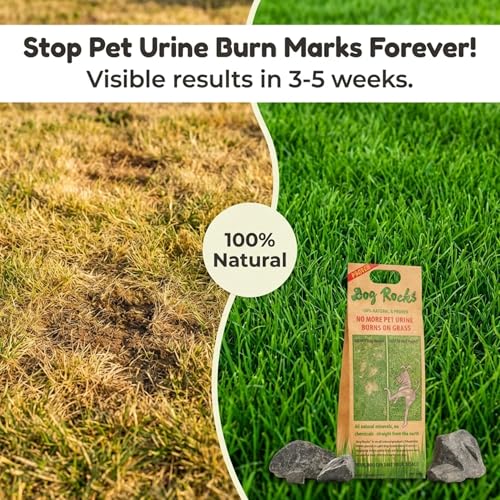 Dog Rocks Urinpflaster Preventer 200g Beutel
