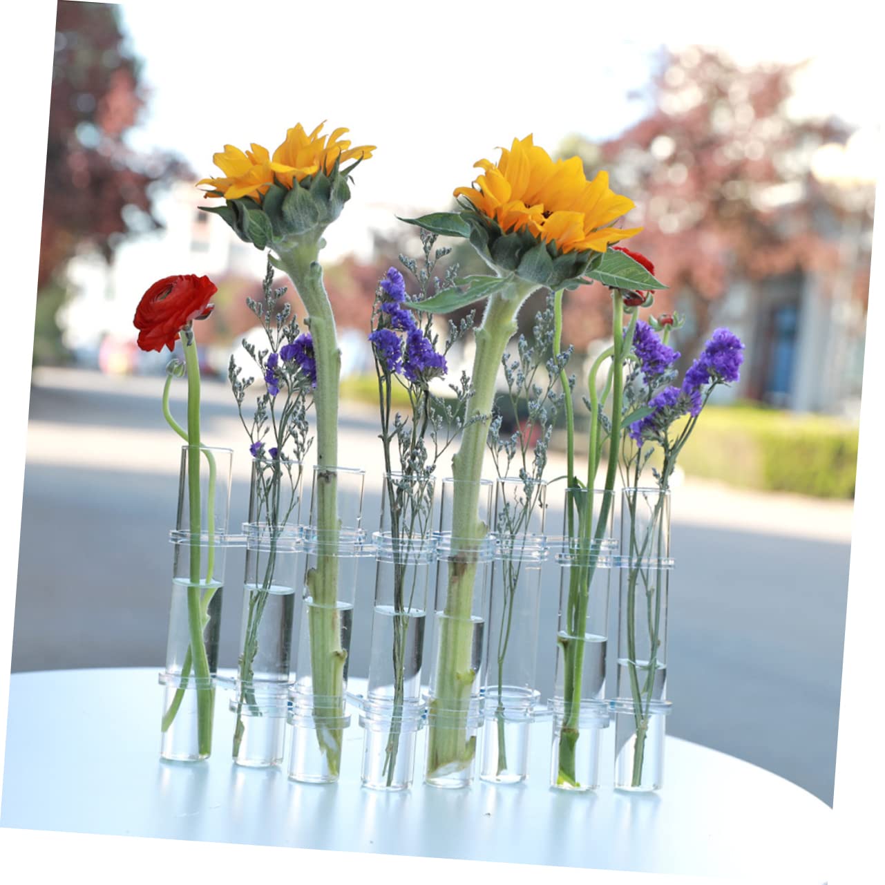 ABOOFAN Vase Hydroponique Verre Transparent avec Support Tubes De Propagation pour Plantes Petits Vases Décoratifs pour Intérieur Et Bureau