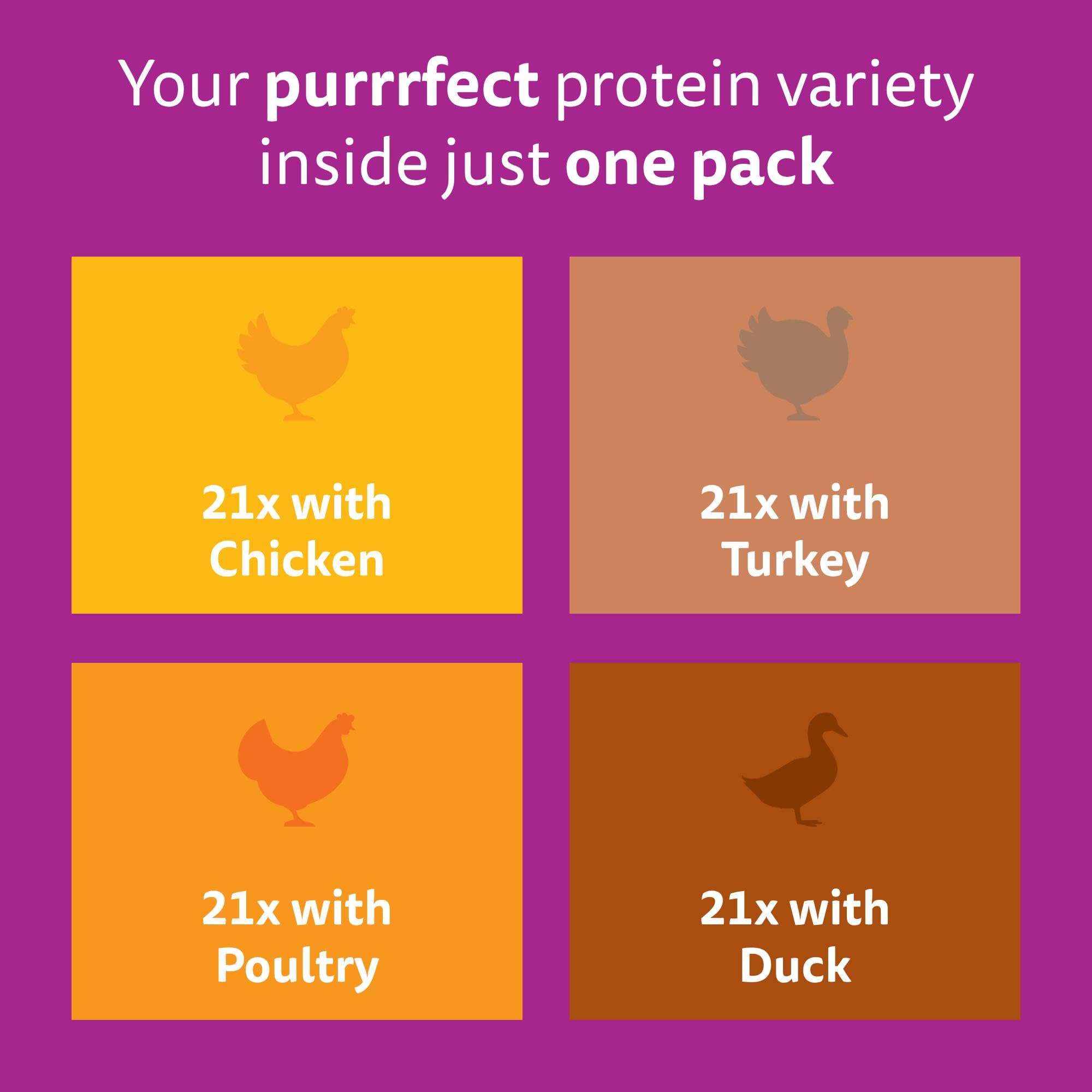 whiskas Junior Poultry Selection in Jelly 84 Pouches, Wet Kitten and Cat Food, Selection of Chicken, Duck, Poultry and Turkey, Megapack (84 x 85 g)