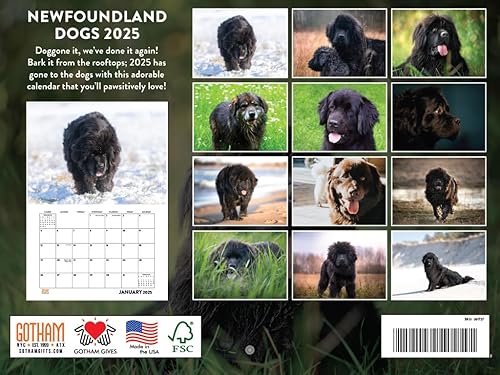 Vista 74 de Calendario Goldendoodle 2026 Golden Doodle mensual de pared calendario de 12 meses Fabricado en Estados Unidos