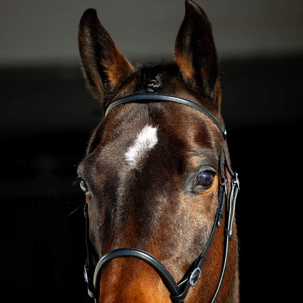HORZE Genuine Leather Cross-Under Bitless Bridle | Web Reins Included - Black - Pony : Sports & Outdoors