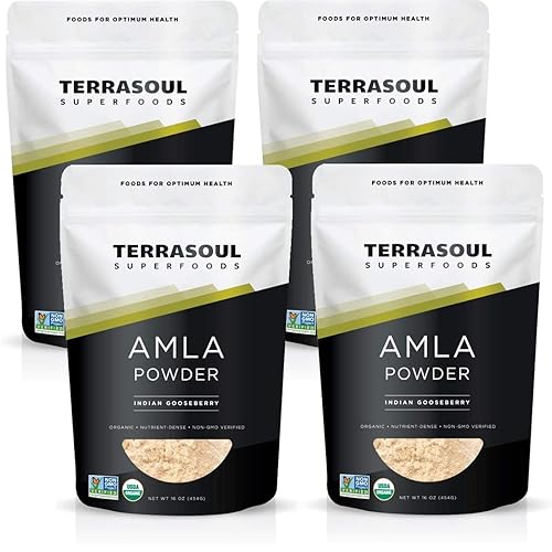 Terrasoul Superfoods Amla (Amalaki) Berry Powder (Orgánico)