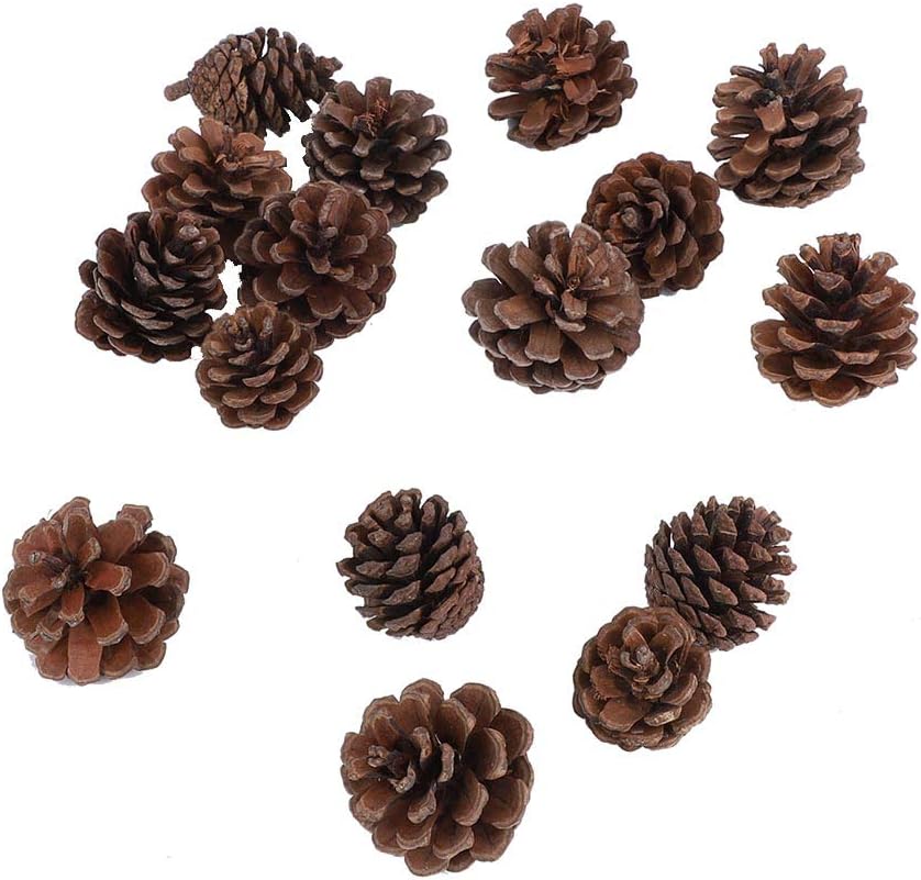 16Pcs Pine Cones Christmas Party Hanging Decoration, Lightweight Pine Cones for Winter Decor Material Color