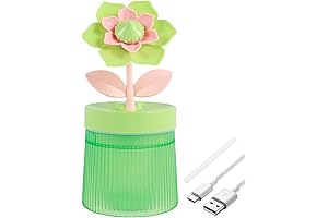 MINI Humidifier with Night Light, 260ML GARDENIA Humidifier