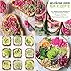 valeaf BIO Microgreens Set I 8 Sorten Sprossen Samen Pflanzset mit Keimsprossen und Microgreens Samen I inkl. Kressesamen, Alfalfa Samen I Samen Anzuchtset Microgreens Kit für Sprossen Keimgerät