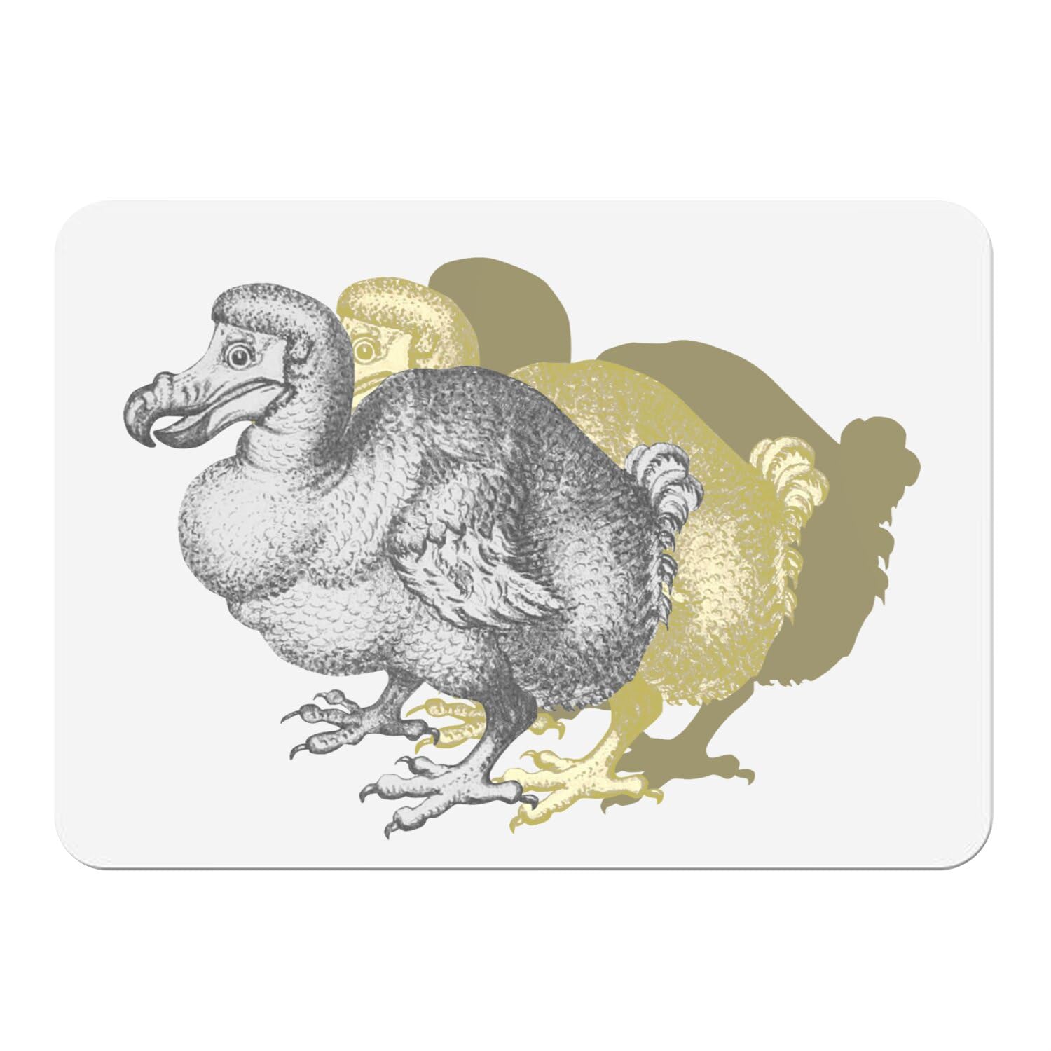 Sets de table en liège blanc illustration oiseau lot de 4 napperons 39,5x28,5 cm