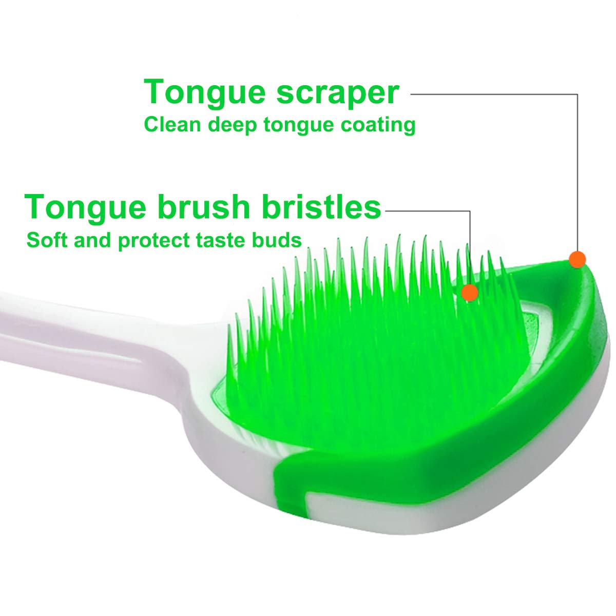 Tongue Brush, Tongue Scraper, Tongue Cleaner Helps Fight Bad Breath, Professional Tongue Brush for Freshing Breath, 2 Tongue Scrapers - 2 Pack (Blue + Green) : Beauty