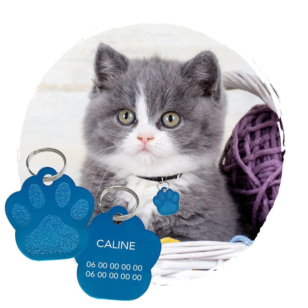 Adzif.biz Le sticker de decoration - Plaque chat personnalisable forme patte en aluminium - Bleu - Aluminium - 26 x 28 mm (2,6 x 2,8 cm)