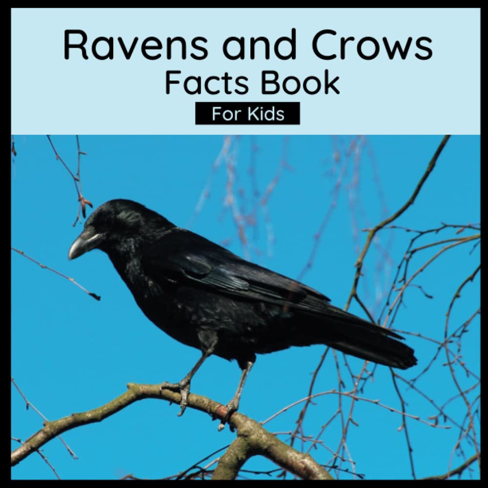 Ravens And Crows Facts Book For Kids: Book About Crows And Ravens