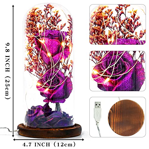 Ulif Beauty and the Beast rozen cadeaus voor vrouwen verjaardag, roos in glazen koepel voor mam, oma, vrouwen, Moederdag… - Image 3