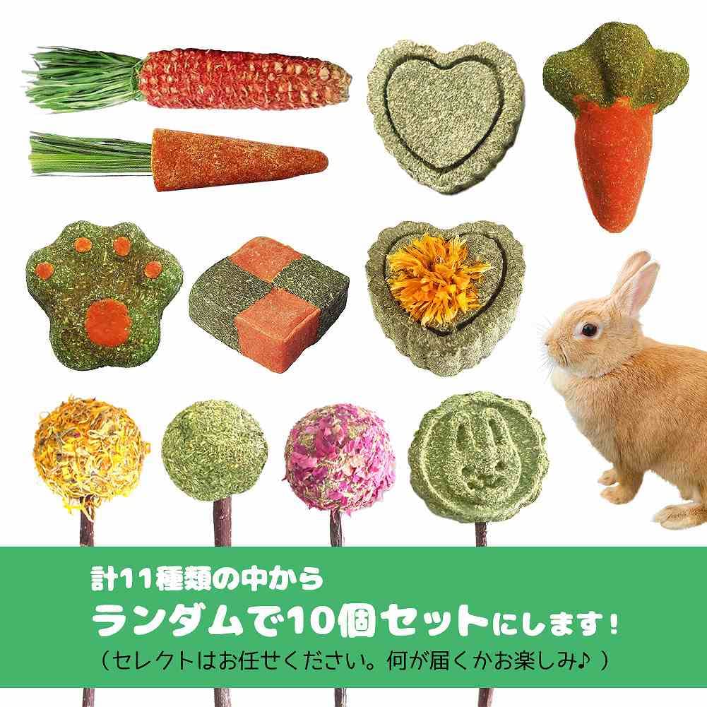 Amazon | fuu 草食動物のおやつ 牧草クッキー ランダム10個セット