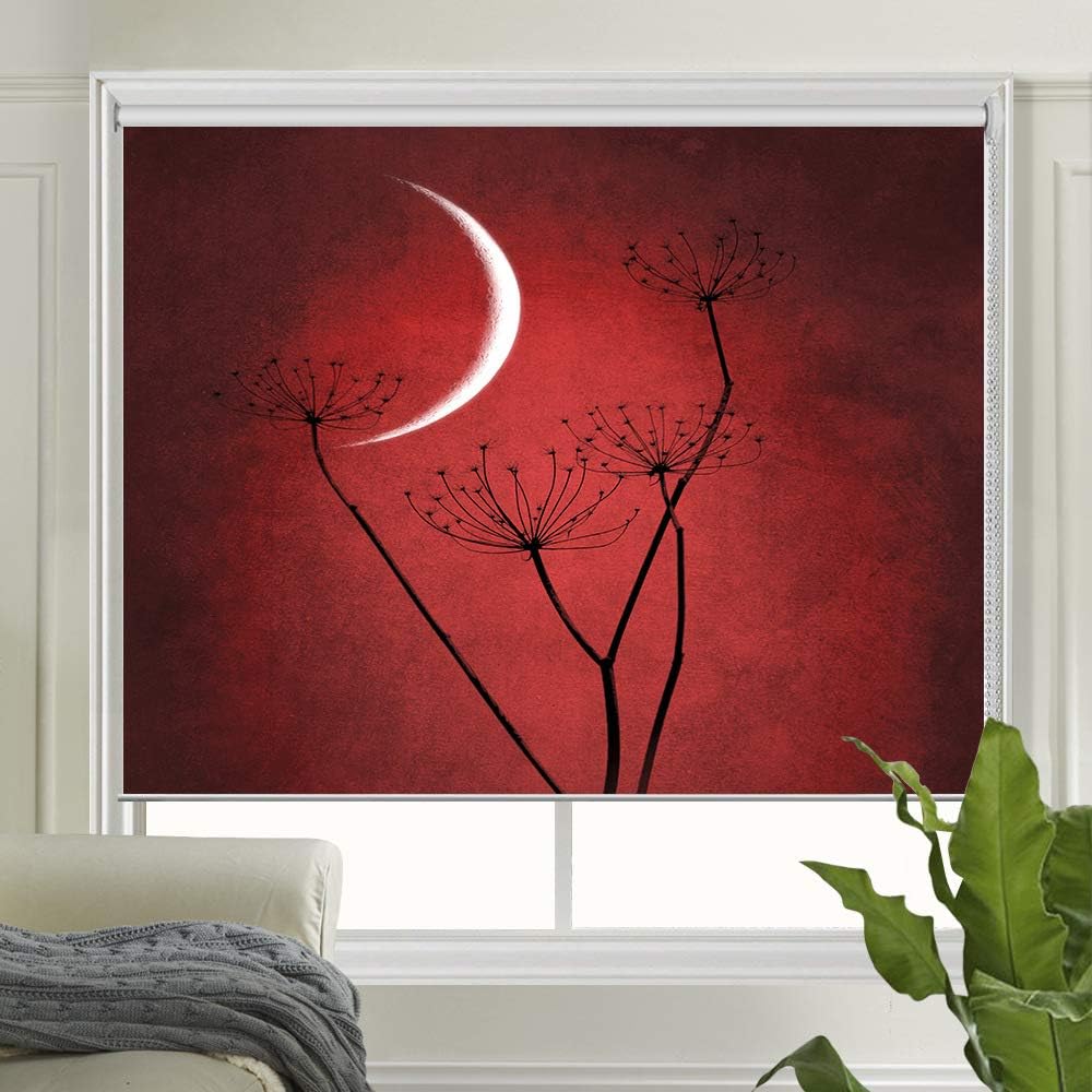 LETAU Blackout Window Shades Blinds, Printed UV Protection Roller Shades Blinds for Home, Door, Hotel, Restaurant