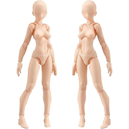 Amazon フェリモア デッサン人形 デッサンドール 女性 モデル ポージング フィギュア 可動式 スタンド付き 女2体セット フィギュア ドール 通販