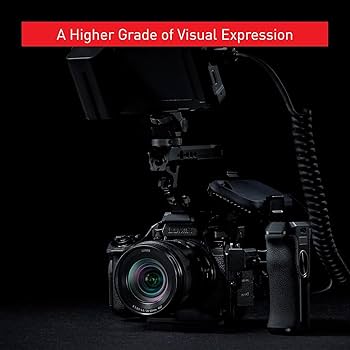 Amazon.com : Panasonic LUMIX S5IIX Mirrorless Camera, 24.2MP