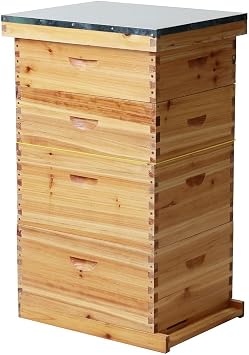 10-Frame Langstroth Bee Hive Coated with 100% Beeswax Includes Beehive Frames and Foundations 2 Deep Boxes & 2 Medium Boxes