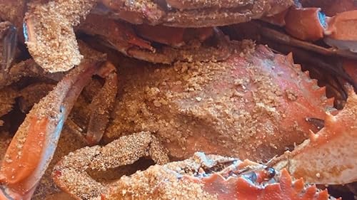 Miniatura 4 de 5 libras de condimento de cangrejo #2 J.O