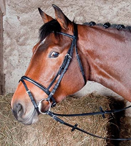 TdeT Lederzaum - schwarz - pony