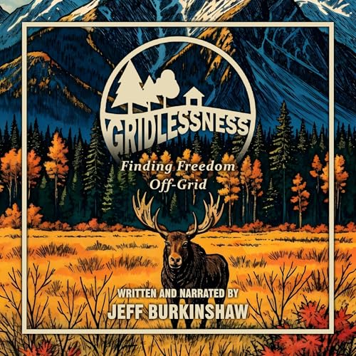 Gridlessness Audiobook By Jeff Burkinshaw cover art