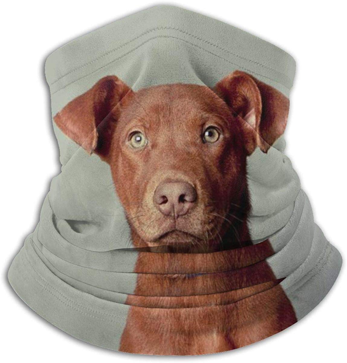 Neck Gaiter Scarf Lovely Pit Bull Dog Versatile Sports & Casual Headwear, As A Bandana, Balaclava