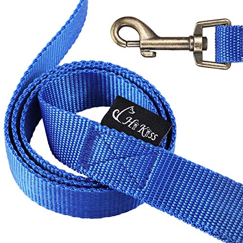dog leash blue