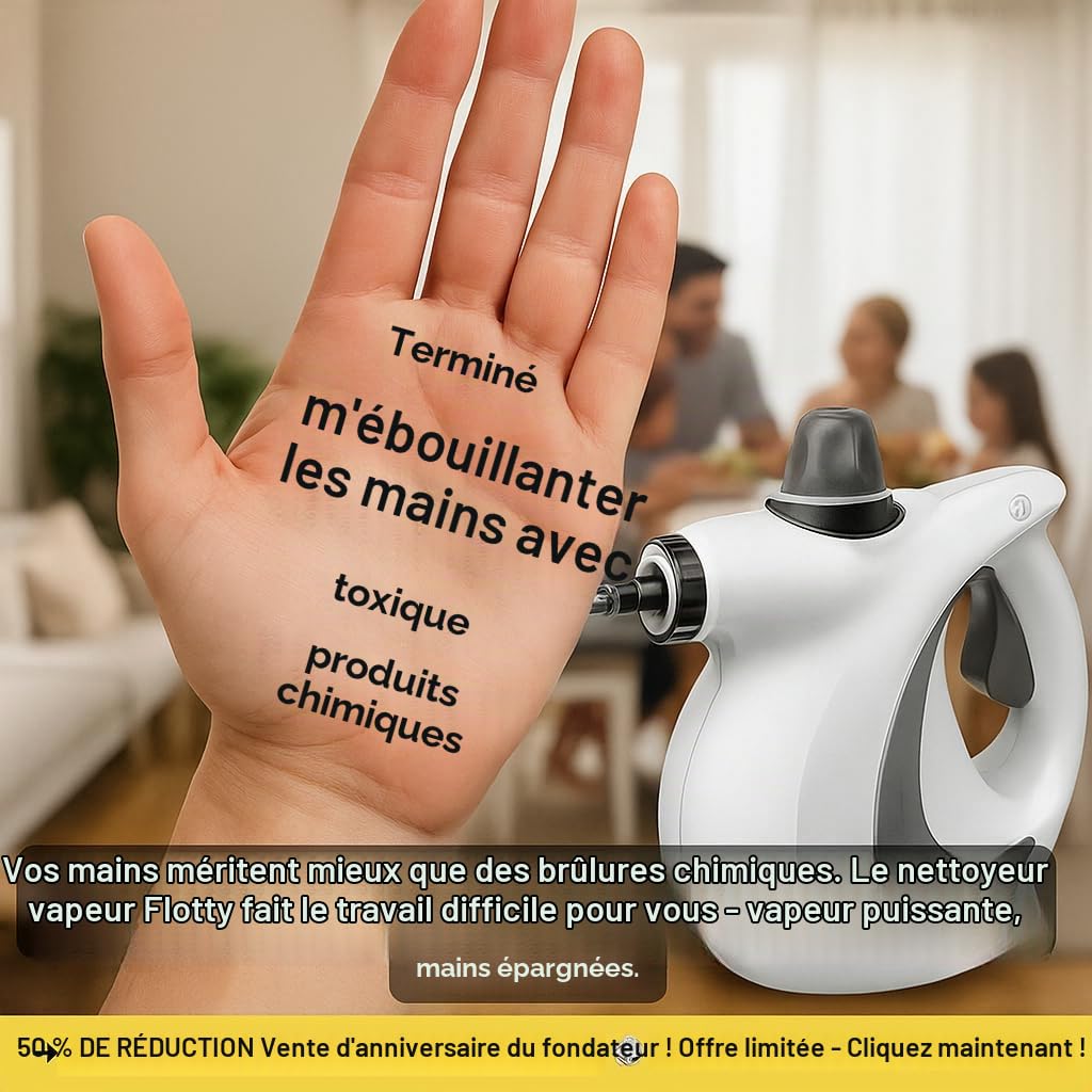 FLOTTY Steam Pro Nettoyeur Vapeur Portable Multifonction 1050W, 14 Accessoires & Réservoir 350ml, pour Nettoyage Vitres, Tapis, Canapé, Cuisine et Voiture