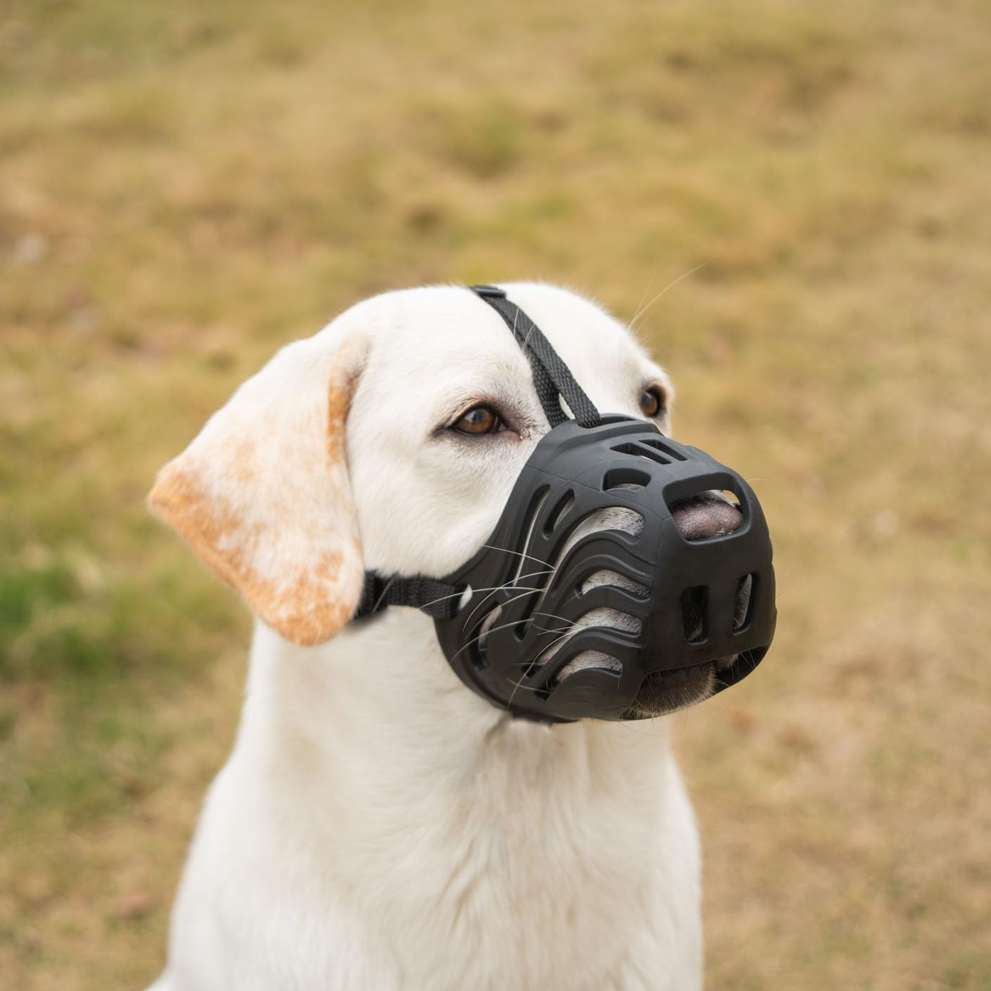 Photo 1 of Diketone Dog Muzzle for Large Dogs Basket Soft Adjustable Muzzle, Dogs can Pant and Drink to Prevent Biting, Chewing and Barking (Black, M-5)