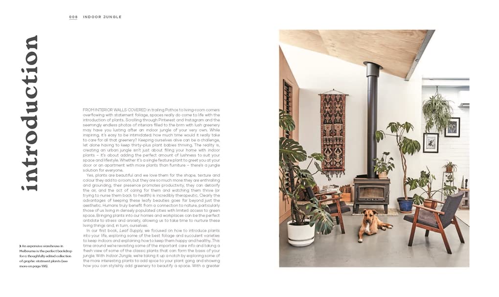 The Leaf Supply Guide to Creating Your Indoor Jungle