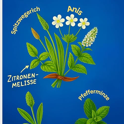 Miniatura 3 de Haslerky - Caramelo de sabor a hierbas y mentol (90 g3.17 oz)