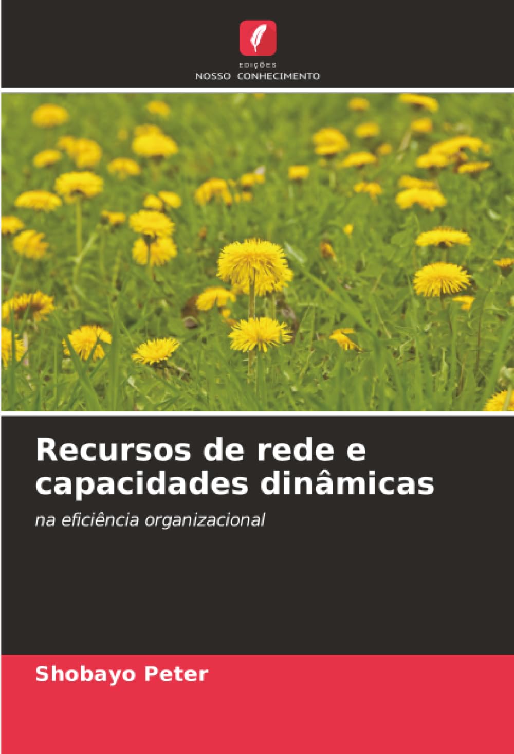 Recursos de rede e capacidades dinâmicas: na eficiência organizacional
