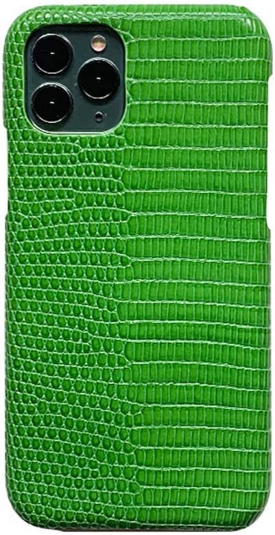 Étui en cuir iPhone 12 Pro SCHIK vert antichoc 6,1 pouces