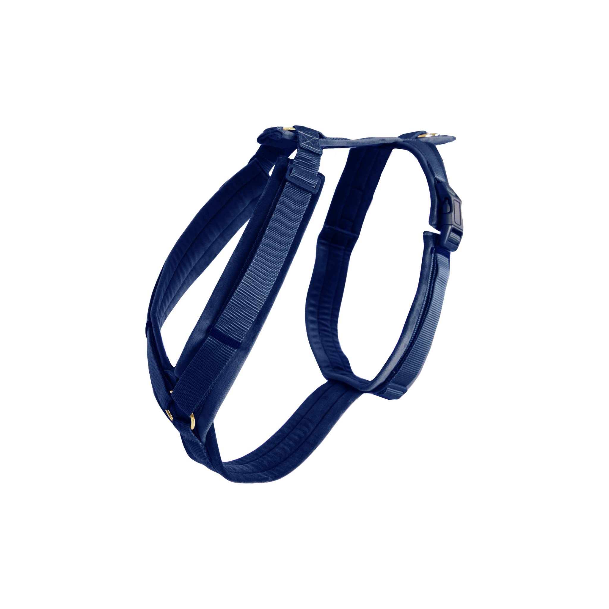 Kentucky Dogwear Pettorina per Cani di Piccola Taglia XS 22-36 Cm Velour Blu Navy di Alta Qualità Chiusura Semplice Regolabile Facile Regolabile Comoda Elegante Pettorina per Cani Cuccioli
