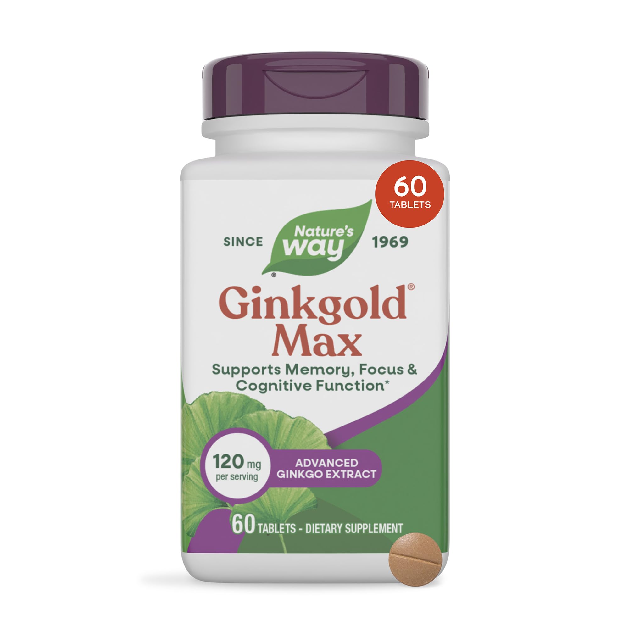 Nature's Way Ginkgold Max, Ginkgo Biloba Extract, 120 Mg Per Serving, 60 ct 60 Count (Pack of 1)