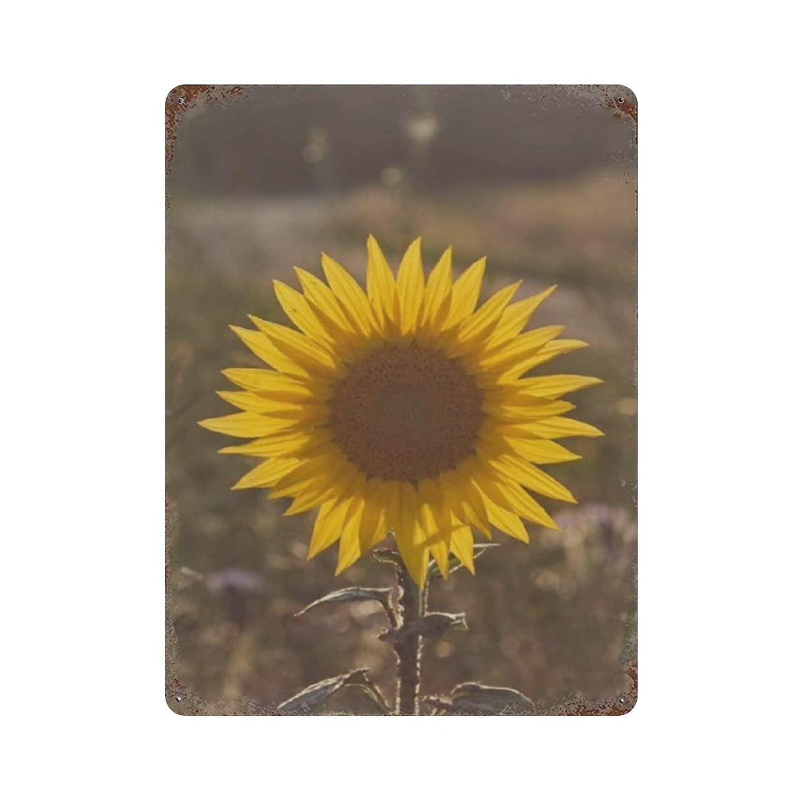 Sunflower on the Mountain Metal Signs, Fun Poster For Bar Kitchen Cafe Farmhouse Wall Decor 12x16 inch