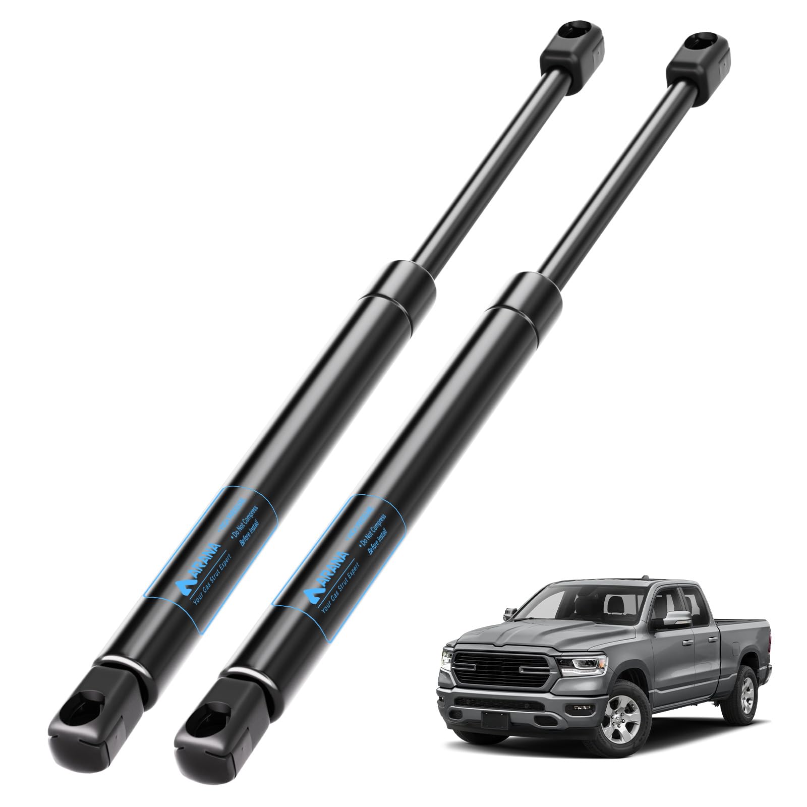 あだちLaQ Amazon.com: ARANA Hood Struts for Dodge Ram 1500 2009-2010
