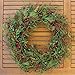 The Wreath Depot Marion Winter Berry Wreath 22 Inch, Enhances Winter Decor,...