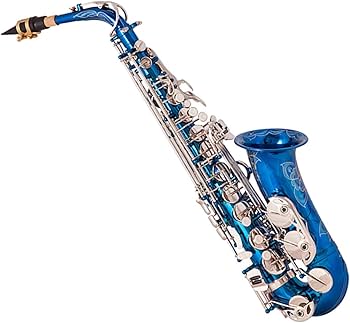 管楽器・吹奏楽器 pico 管楽器・吹奏楽器 pico 楽天市場】ピッコロ 楽器（管楽器・吹奏楽器