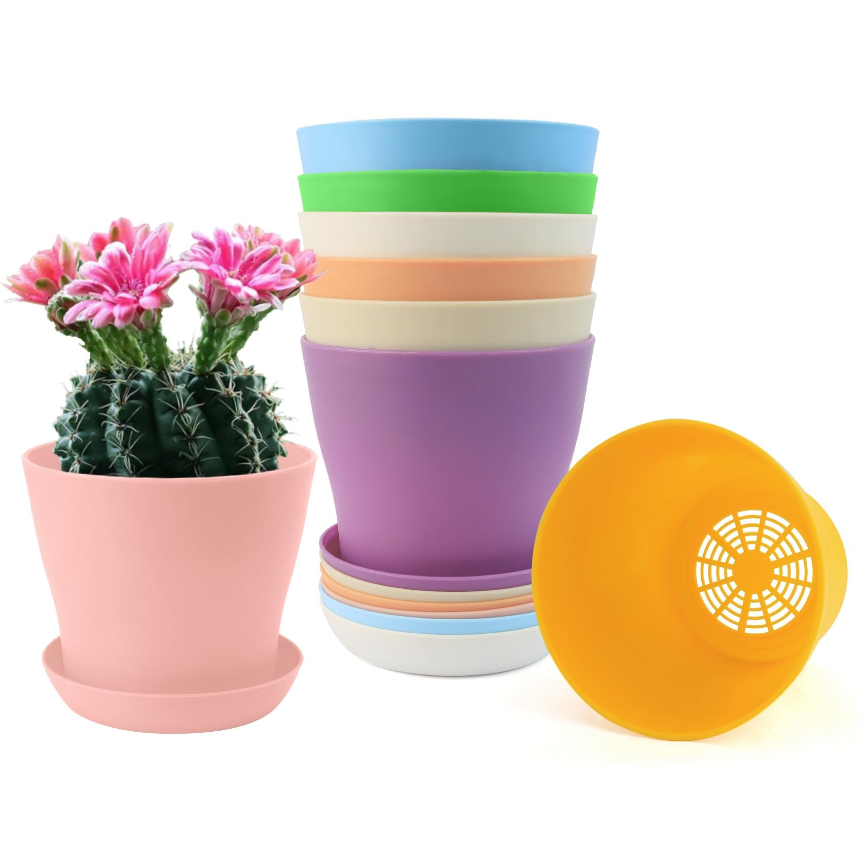 Tecfinty Pflanzentopf, 8 Stck 12cm Blumentopf Mit Untersetzer, Klein,  Plastik, Set, Haus- und Gartenpflanzen, Verschiedene Gren und Farben :  Amazon.de: Kche, Haushalt & Wohnen