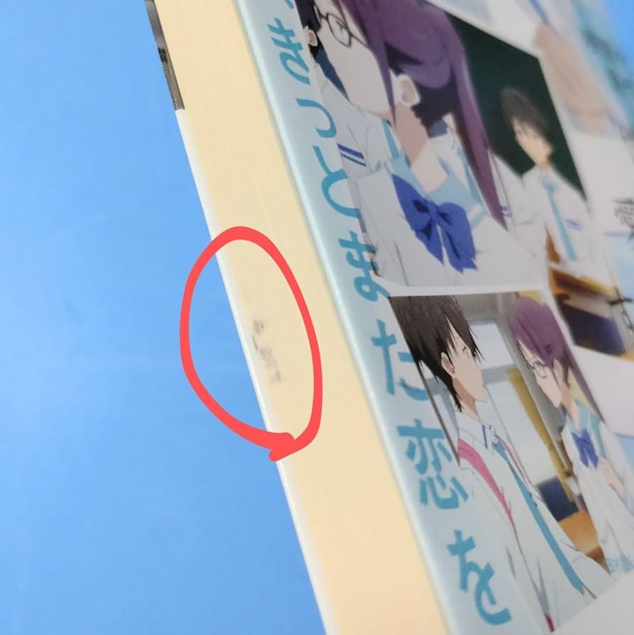 小説 複数冊 Amazon.co.jp: 僕を愛したすべての君へ 君を愛したひとりの僕へ