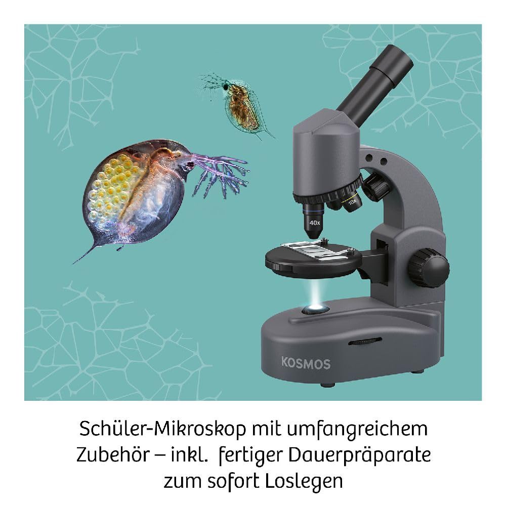 KOSMOS 636098 - Microscopio para niños, Color Blanco