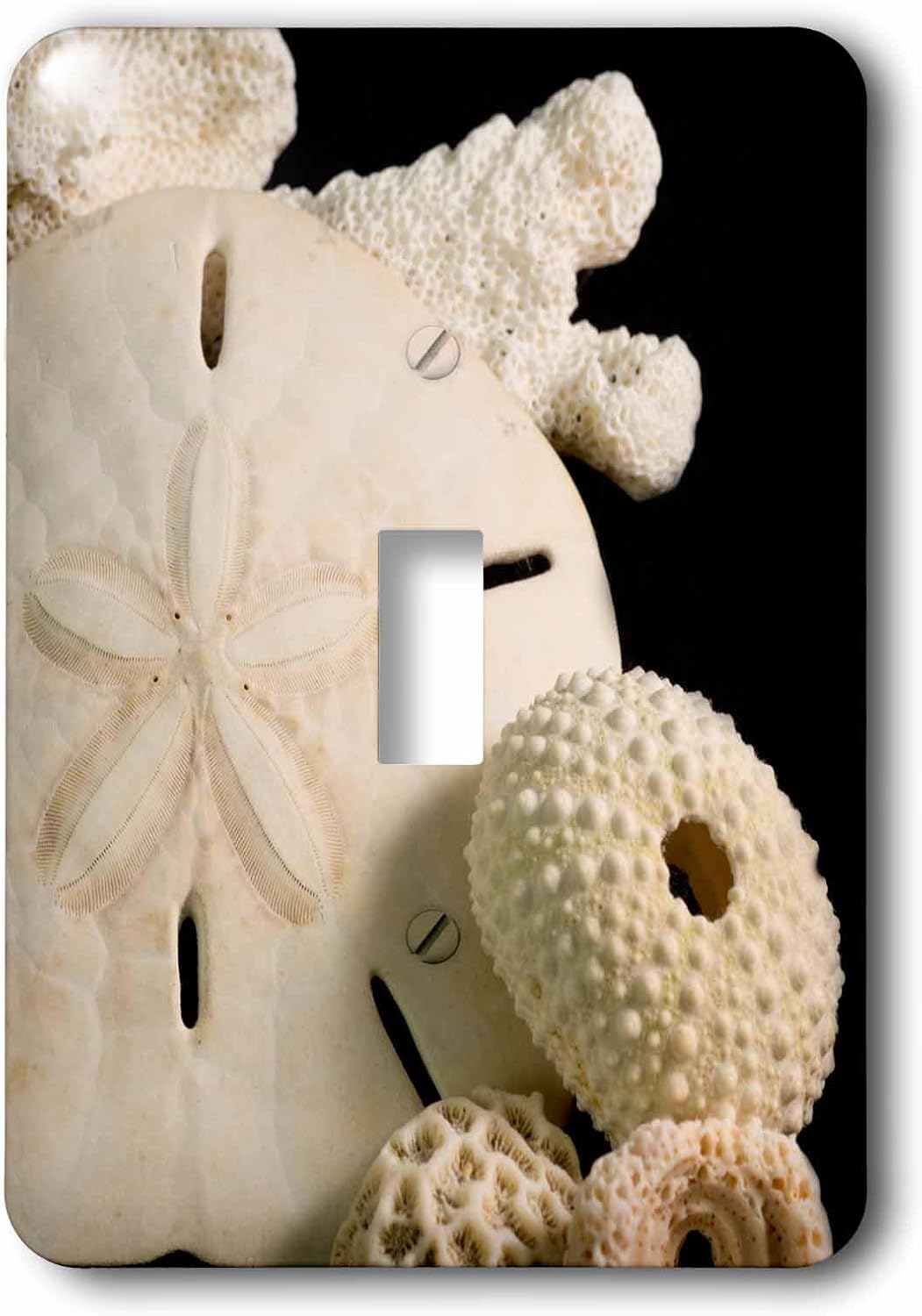 3dRose lsp_187719_1 White Seashells, Sand Dollar, and Coral From Around the World. Single Toggle Switch