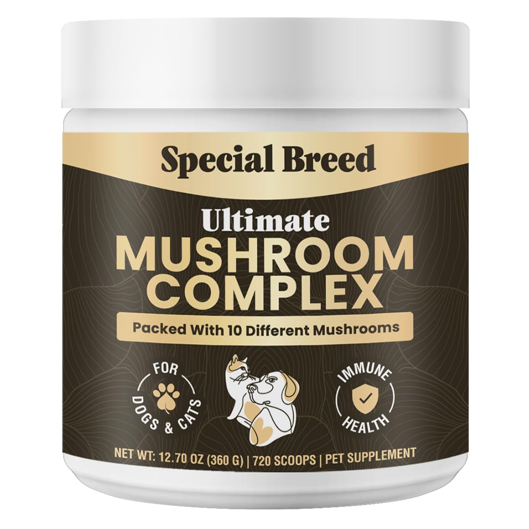 Special Breed Mushroom Complex Powder