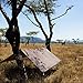 DD HAMMOCKS - DD Tarp 3x3 - Coyote Brown (10ft x 10ft) - 100% Waterproof - Lightweight & Multifunctional Rainfly Tarp Tent Shelter for Camping & Travel Adventure