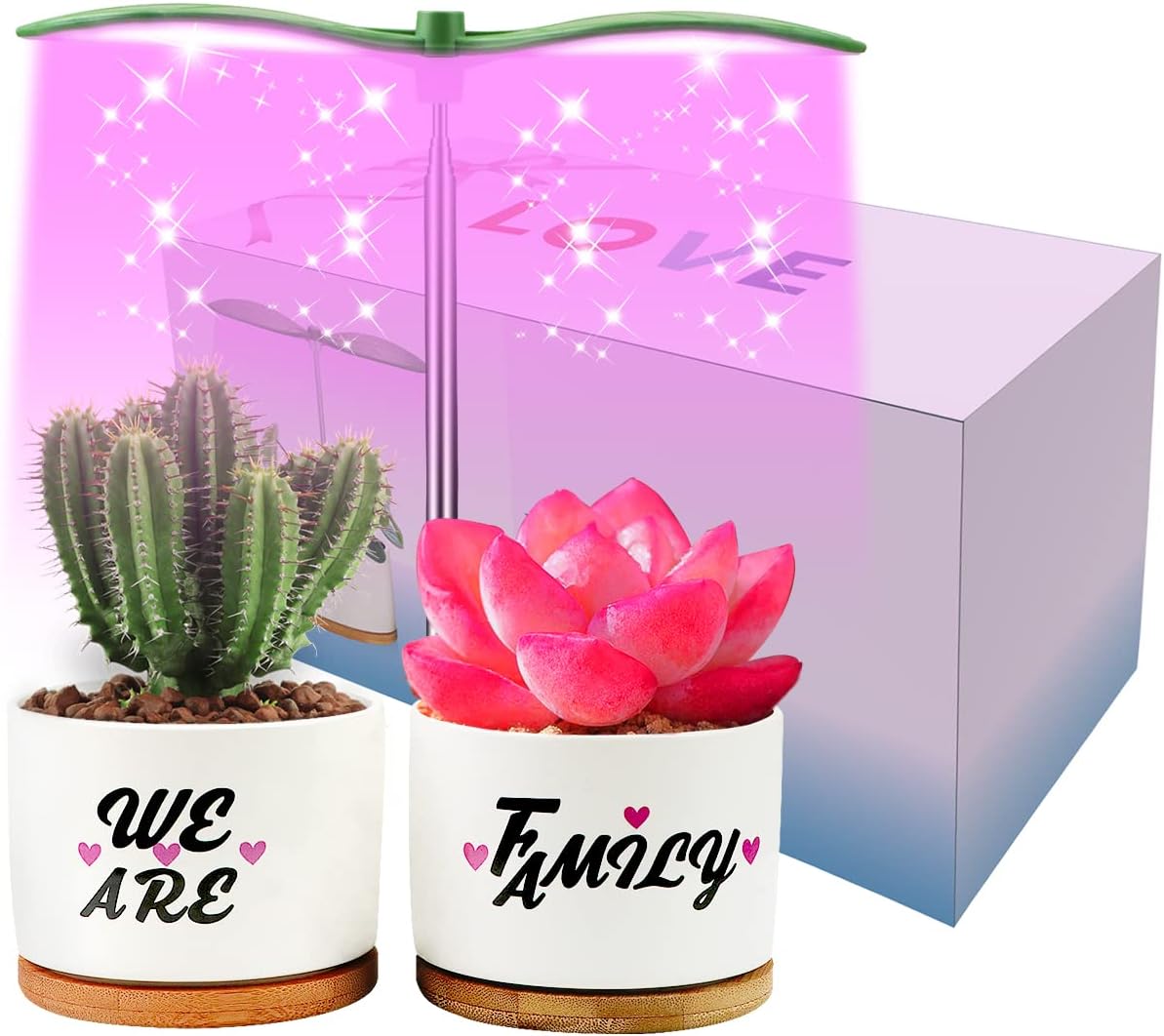 Succulent Pots with Grow Lights 3.54โ White Ceramic Small Flower Pots with Bamboo Tray๏ผSucculent Planters Grow Lighting Kit, Pack of 3, Best Gifts for Family and BirthdayไธจPlants Not Includedไธจ
