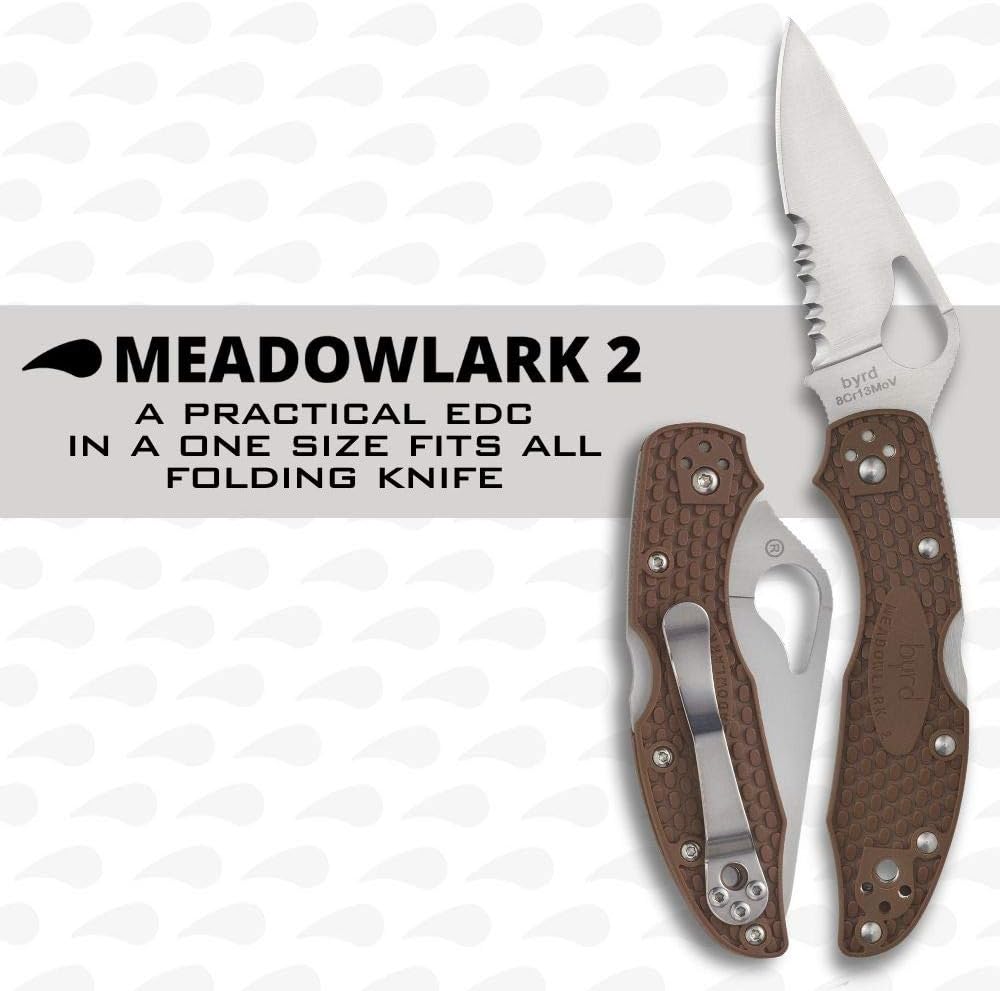 Spyderco BY04PSBN2 Hunting Knives Folding Blade
