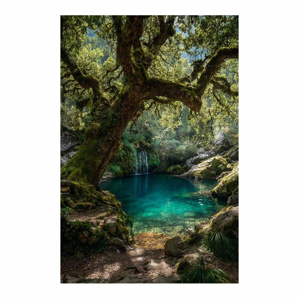 HOQIU Beautiful wall art Mossy Forestss Waterfall canvas artwork for wall, art prints, For living room, bedroom, bathroom, dining room, painting and decor.(Multicolor)-60x80cm Unframed