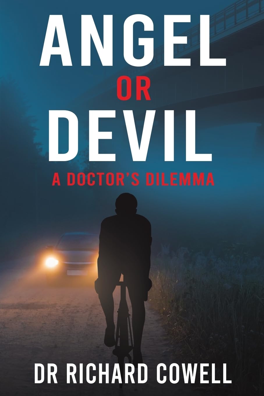 Angel or Devil PAPERBACK 9781398422407